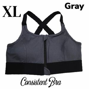 LuLaRoe Gray Sports Bra with Black Trim XL Consistent